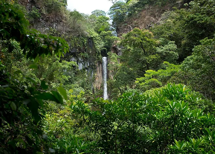 Buena Vista Del Rincon Eco Adventure Park Hotel & Spa